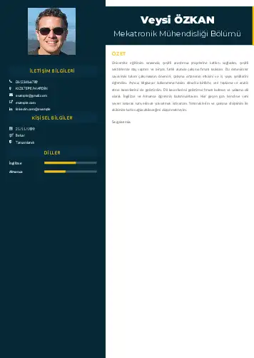 Mekatronik Mühendisliği Cv Örnekleri cv indir